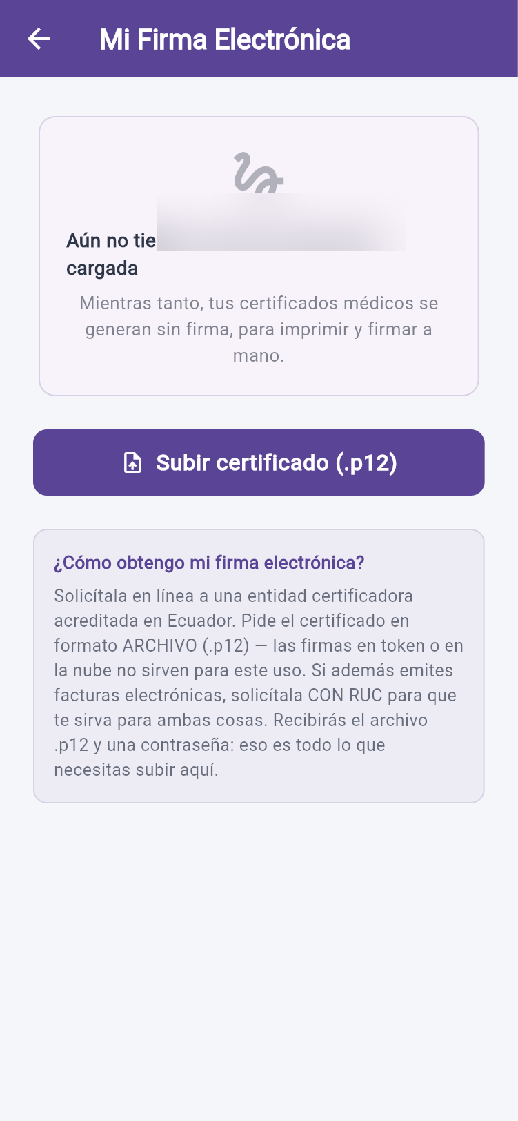 Firma electrónica del profesional, vigente